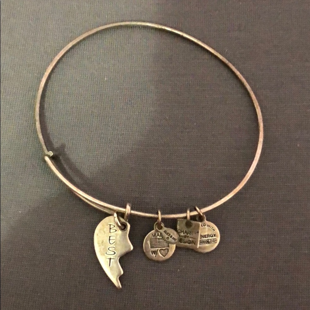Alex and Ani charm bracelet